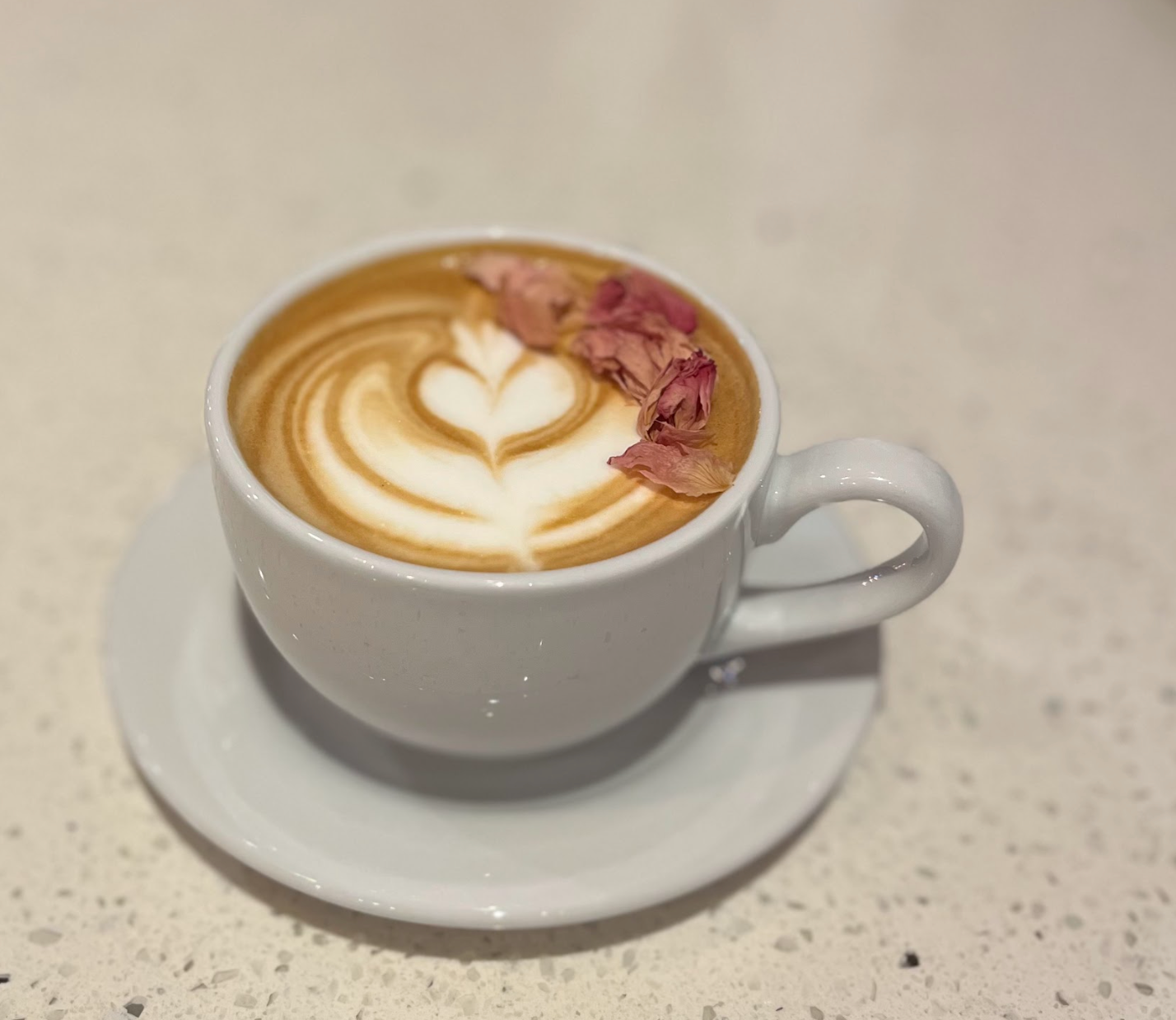 Bee Mine Latte | ThreeSixty Coffee Co.